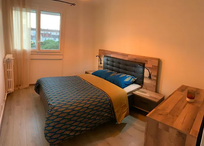 Bel Appartement Renove En Centre Ville