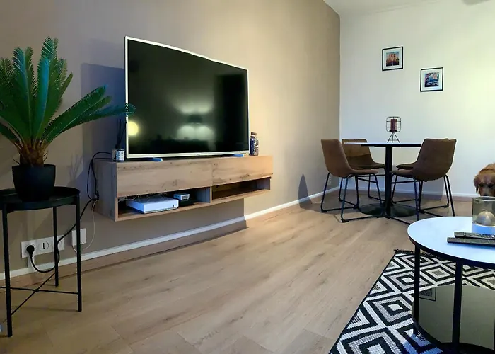 Bel Appartement Renove En Centre Ville